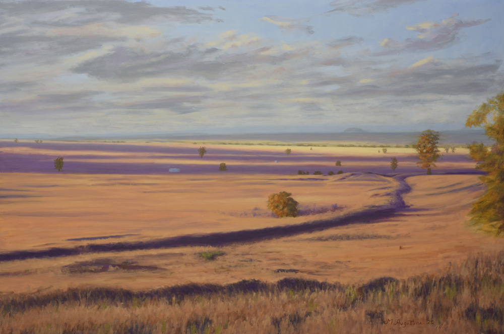 Country plains 61x91cm Sold